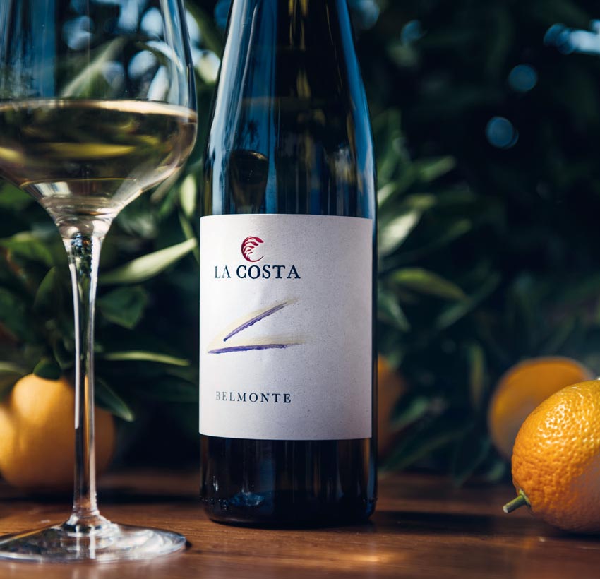 La Costa Fattoria Sociale: vigneti, lavoro e inclusione per un’agricoltura aperta a tutti